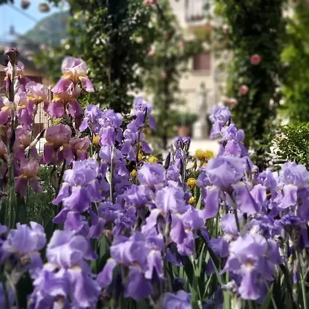 Appartement Costanza Con Giardino *