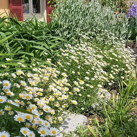 Costanza Con Giardino *