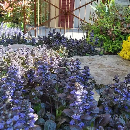 Costanza Con Giardino Appartement *