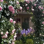Costanza Con Giardino Apartment *