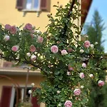 Costanza Con Giardino Apartment Magreglio