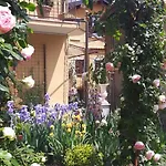 Apartment Costanza Con Giardino *