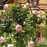 Costanza Con Giardino * Magreglio