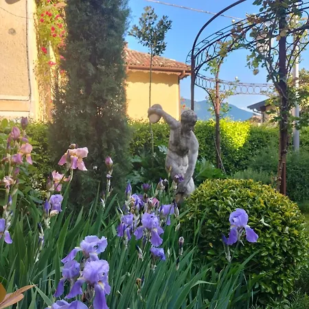 Costanza Con Giardino