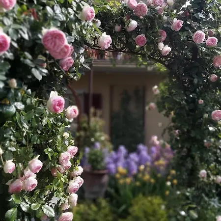 Costanza Con Giardino 公寓 *