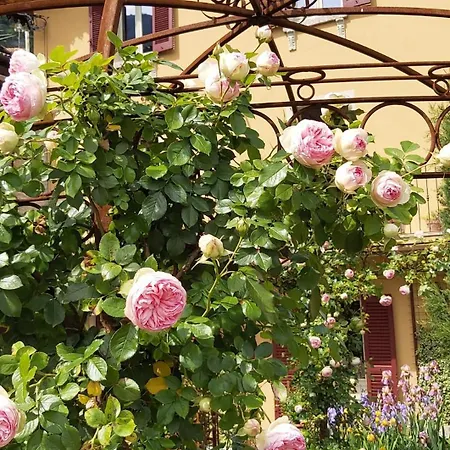 Costanza Con Giardino 公寓 Magreglio