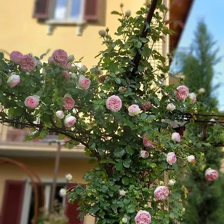 Costanza Con Giardino Appartement Magreglio