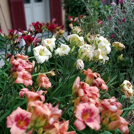 Costanza Con Giardino Magreglio