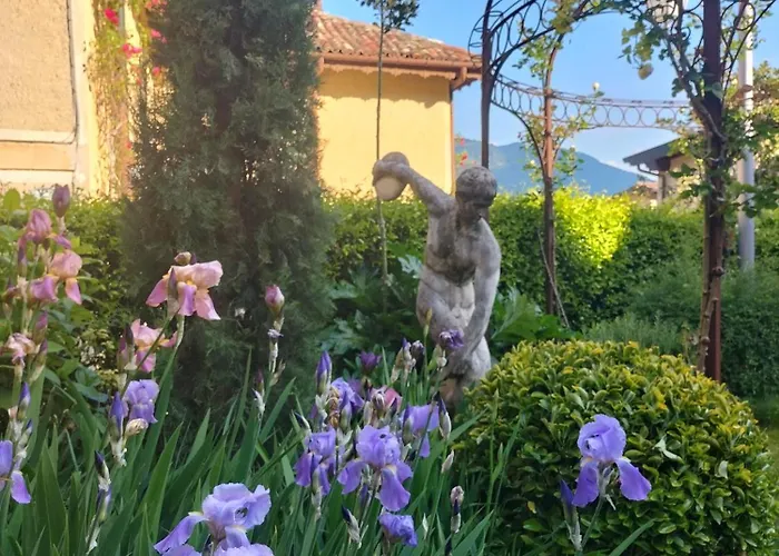Costanza Con Giardino