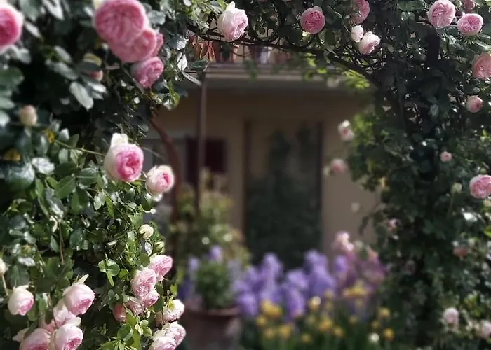 Costanza Con Giardino Апартаменты *
