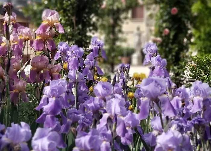 Апартаменты Costanza Con Giardino *