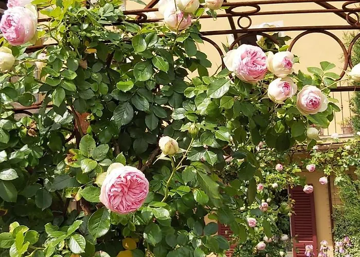 Costanza Con Giardino Апартаменты Магрельо
