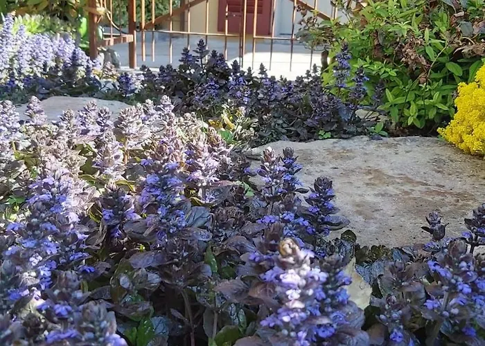 Costanza Con Giardino Апартаменты *
