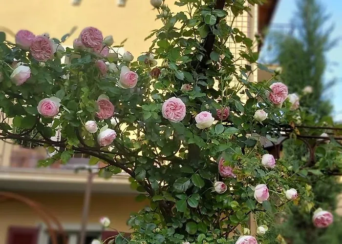 Costanza Con Giardino Апартаменты Магрельо
