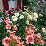 Costanza Con Giardino Magreglio